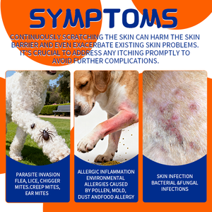 Support à mâcher contre les allergies pour chiens, soulagement naturel des démangeaisons de la peau avec probiotiques, marque privée OEM/ODM, vente en gros en usine - Product Image 4