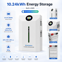 Batería de Almacenamiento Solar Dividida de 10.24kWh, Compatible con Comunicación CAN, Híbrida, Paquete de Baterías LiFePO4 de 51.2V 200Ah para Inversor Growatt