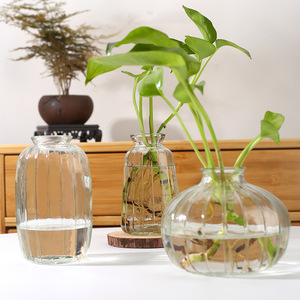 <span class=keywords><strong>Mini</strong></span> vase en verre transparent de couleur nordique, petit récipient à fleurs créatif et simple pour arrangement floral de table - Product Image 2