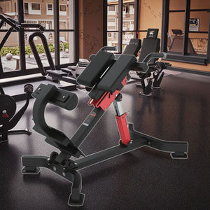 Chaise romaine à 45 degrés à montage facile, banc d'hyper-extension, équipement d'entraînement de gym à installation rapide, vente en gros directe d'usine, faible MOQ - Product Image 2