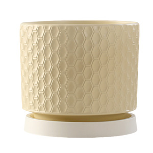 Bandeja de cerámica al por mayor para macetas de orquídeas Phalaenopsis - Lujo, aislante, a prueba de viento, color crema, simple, para plantas suculentas pequeñas, hecha <span class=keywords><strong>en</strong></span> China - Product Image 5
