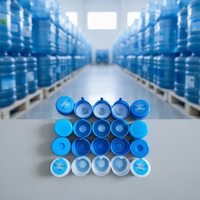 Bouteilles PE de haute qualité de 5 gallons avec bouchon à bec verseur, joint anti-déversement, options de logo personnalisé, plusieurs couleurs/tailles, emballage recyclable, sans MOQ