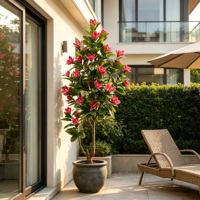 Pohon Bunga Magnolia Merah Sunset Buatan WarmthPerch, Tanaman Pot Ramah Lingkungan 5.6-6.9 kaki untuk Dekorasi Rumah dan Pernikahan Dalam Ruangan