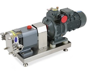 5.5kw elektrik motoru VFD dişli redüktör hareketli denetleyici ile ZB3A-52 paslanmaz çelik gıda sınıfı Transfer lob pompası - Product Image 5