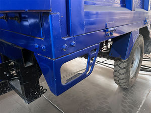 Kendaraan Tricycle Bermotor Kargo Terbuka Bersertifikat EEC/DOT Berkualitas Tinggi 250cc/150cc Tiga Roda Penumpang Berbahan Bakar Bensin - Product Image 5