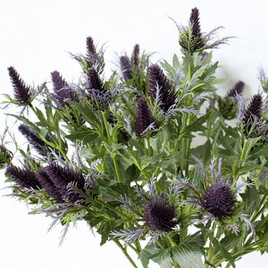 O-X0112 Fournisseur en gros 3 têtes de fleurs artificielles en plastique, éryngium à longue tige, éryngiums artificiels, fleur de chardon bleu - Product Image 5