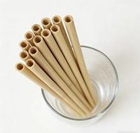 Pailles en bambou naturel biodégradables à bon prix directement de l'usine – Pailles jetables pour fêtes, boissons, cuisine et cadeaux