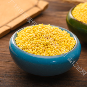 <span class=keywords><strong>Millet</strong></span> Glutineux Premium Dahuang – Riz Traditionnel Chinois à Grains Entiers – <span class=keywords><strong>Millet</strong></span> Riche en Nutriments pour Porridge et Pâtisserie – Vente en Gros - Product Image 2