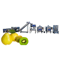 Yoursjoys Complete Fruit- en Groentesaplijn Borstelreiniging Sapextractie Puree Reiniging Automatisch Multi-Voltage