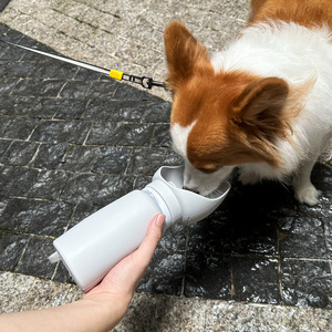 Bouteille d'eau pour animaux de compagnie, 550 ml, anti-fuite, pour promenades et voyages avec chien - Product Image 3