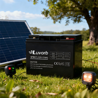 Batterie au plomb à décharge profonde Luvorb 12V 17Ah scellée AGM 10Hr pour outils électriques et jouets, prix usine, batterie GEL AGM 10Hr UPS