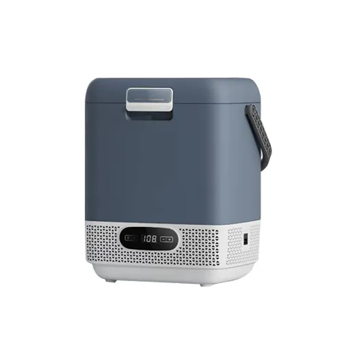 Lidar com mini refrigerador portátil 12V 24V DC adaptador Make up Medicina ao ar livre usando