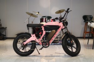 Customized Lithium Battery Magnesium Frame Rear <b>Hub</b> Motor Commuting 7-speed Ebike M1 7-speed Gearing Smooth - Product Image 5