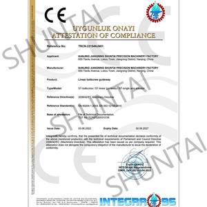 Nhà Máy Giá Đài Loan Hiwin Rm1605 Rm1204 Bóng Vít Sfu1204 <span class=keywords><strong>1605</strong></span> 300 500 600 800Mm 1500Mm Tùy Chỉnh CNC Ballscrew - Product Image 5