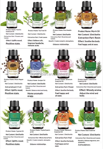 Aceites Esenciales 100% Puros de Plantas al por Mayor, 10 ml, Aceite de Aromaterapia Orgánico para Difusor y <span class=keywords><strong>Humidificador</strong></span>, Marca Privada OEM, Aceite de Fragancia - Product Image 4