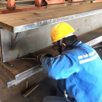 Rangka Baja Gedung Industri I-Beam yang Tahan Lama, Gudang Struktur Baja Internasional, Pemasok Bangunan Struktur Baja