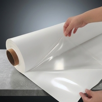 Film protecteur en TPU thermofusible sur mesure pour applications médicales, électroménager, automobile et électronique – Usine OEM/ODM résistante à la chaleur