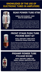 Amplificatore a Valvole MONA Audiophile 256 HIFI Stereo ad Alta Potenza 56W*2 220V Personalizzazione Gratuita 110V/230V Ricevitori Amplificatori - Product Image 4