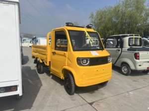 Camión de Helados Eléctrico con Certificación EEC, 4 Ruedas, Baja Velocidad, 72V 3KW, Conducción Izquierda y Derecha, en Venta - Product Image 5