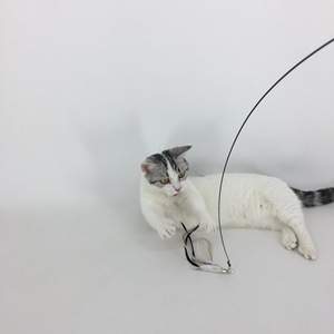 Bâton de baguette interactif en PVC et métal pour chat Style simple Fournitures d'intérieur pour animaux de compagnie Ventouse Plume Amusant pour votre ami <span class=keywords><strong>félin</strong></span> - Product Image 2