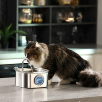 Fontaine à eau automatique carrée pour animaux de compagnie de 3,2 L avec filtre à charbon, distributeur d'eau pour chats