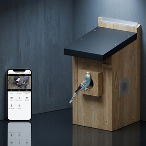Caméra de Nid d'Oiseau à Faible Consommation d'Énergie, Grand Angle de Vision, 5MP, avec Vision Nocturne, Wi-Fi, Solaire, Garantie 1 An - Product Image 2