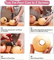 Professionele handmatige appelboor van roestvrij staal met ergonomische rode handgreep en gekarteld mesje, keukengereedschap voor thuisgebruik