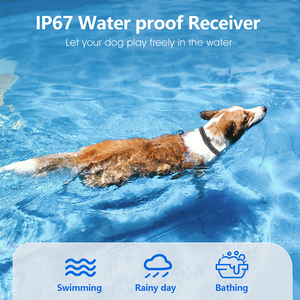 Hundetrainings-E-Halsband mit 3 Sicheren Trainingsmodi, Wiederaufladbar, Wasserdichtes Elektrisches Hundeschockhalsband mit Fernbedienung für Hunde - Product Image 6