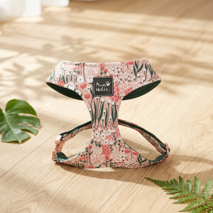 Premium Cotton Comfortable Fashion <b>Dog</b> Harness Cat Harness Cute Fashion Adjustable Cute Buckle Closure for Small Size <b>Dog</b> & Cat - Product Image 1