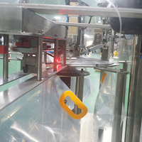 Machine intégrée entièrement automatique de remplissage, scellage et codage de sachets de lait, d'eau et de liquides