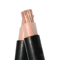 0,6/1kv Cable de alimentación eléctrica de bajo voltaje Yjv Yjv22 Yjv23 Yjlv Yjlv22 Yjlv23 Bbtrz Bttrz Jklyj Jklgyj Xlpe Conductor de cobre