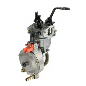 C·T·S LPG CNG Carburettor Conversion Kit for GX160 GX200 168F 170F 2KW 3KW  Generator : : Garden