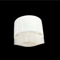 Poche de recharge à large ouverture 22 mm avec bouchon en plastique pour lessive, solution nettoyante, soin des tissus, liquide industriel