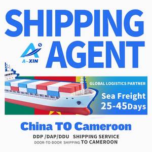 <span class=keywords><strong>China</strong></span>-Cameroon luchtvracht telefoongoederen verzendbedrijf concurrerende prijs expediteur - Product Image 1