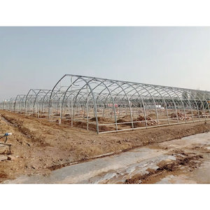 Invernadero para Cultivo de Hongos con Control Climático Inteligente y Estructura de Acero Personalizable - Product Image 4