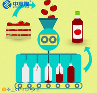 Ligne de production automatique de sauce tomate et de ketchup au prix d'usine, machine de fabrication de purée de tomate pour confiture et ketchup