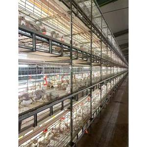 H Type Couche Poulet Poules Cage Ferme De Volaille Mangeoire Poussins Rôtissoire Équipement Automatique Batterie Tiré Poulailler Maison - Product Image 6