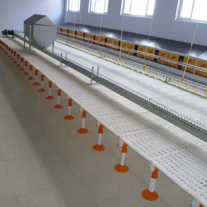 Fácil limpieza Fuerza Aves de Corral Cobertizo elevado Suelo de plástico Pollo Gallina Pollo Asador Fabricación de pisos de listones de plástico - Product Image 6