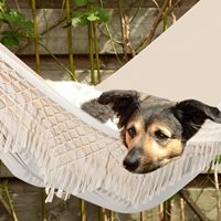 Danlong Hot Selling Grote Braziliaanse Macramé Kwast Hangmat Buiten Anti-Kantel Prinsessen Stijl Hangende Buiten Camping Hangmat