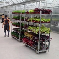 2020 Offre Spéciale danois plante pépinière métal contreplaqué fleur spectacle chariot chariot danois fleur chariot Cc conteneurs pour plantes