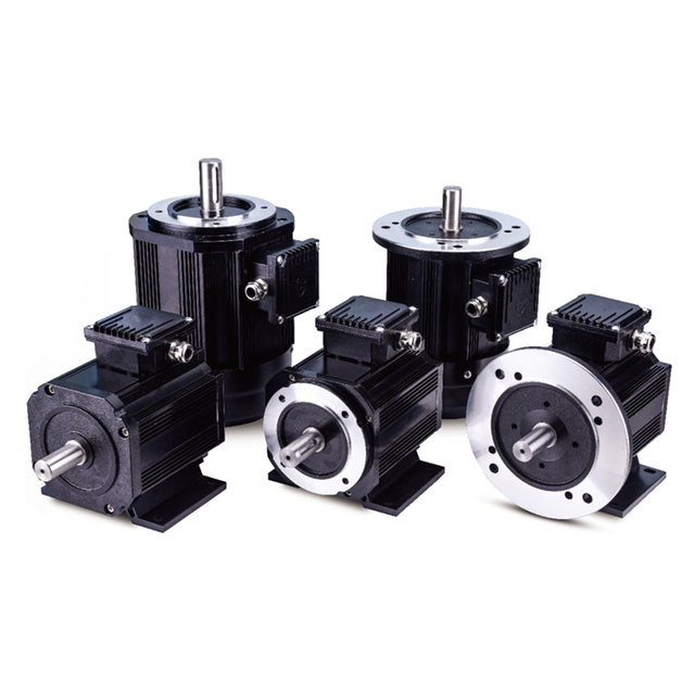 1.1kw 2.2kw 3kw 4kw 5.5kw 7.5kw 11kw 15kw 18.5kw 22kw 30kw Ac Motor Permanent Magnet Synchronous Motor