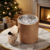 Seau à glace isotherme à double paroi en acier inoxydable de 2 L avec pince pour bière et vin