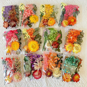 Vente en gros pas cher prix bricolage fleurs sèches matériel sac réel naturel séché eucalyptus bougie parfumée faisant Nail Art cadre photo - Product Image 5