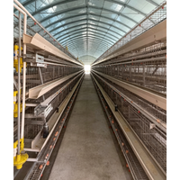 Cage à poules pondeuses de type A à alimentation automatique, avec nettoyage manuel du fumier par manivelle, pour élevage en batterie, à vendre