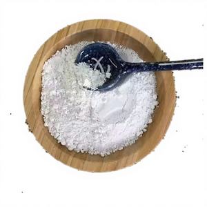 Carbonato de Calcio Premium Nhat Thang VNT 7 VNT-2C para Mayor Durabilidad de Pinturas, Recubrimientos y Productos - Product Image 1