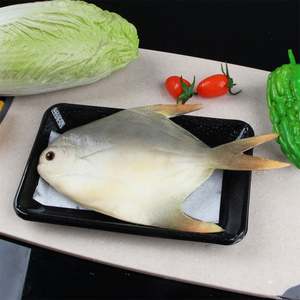 Tampon absorbant l'humidité biodégradable et écologique (8 ml/pièce 160x70 mm) pour plateaux de viande, de volaille et de fruits - Product Image 3