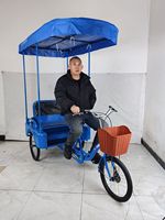 Triciclo de Carga de 3 Ruedas con Estructura de Acero para Adultos, Asiento Cómodo, Seguro, Carrocería Abierta, Rickshaw, Triciclo de Pasajeros, Exportación, 20 Pulgadas, 100 kg