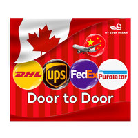 Ever Ocean Rates Entrega rápida Ddp Última milla Puerta a puerta Dpp Ddu Air Express Courier Agente de envío a Estados Unidos EE. UU. Canadá