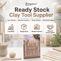 Giorgione – Lot de 10 outils en plastique pour modelage, sculpture et gravure de poterie, argile polymère, céramique, artisanat et fournitures d'art DIY