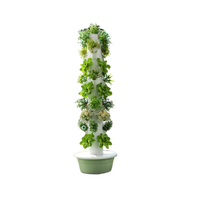 Agriculture verticale aéroponique, culture hydroponique en tour verticale pour les légumes-feuilles
